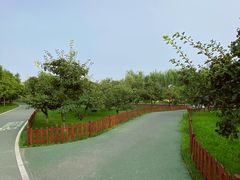 -洨河生态公园
