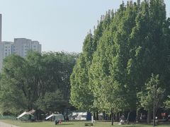 -北运河水利风景区