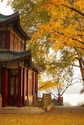 -Dr.U博士医疗美容医院