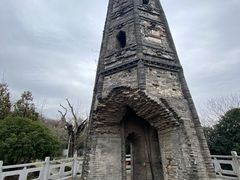 -上海佘山国家森林公园天马山园