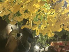 -城墙拐拐火锅(三峡广场黑金冠店)