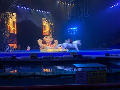 -珠海横琴长隆《卡卡虎奇遇记》