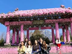 -河南宝泉旅游区