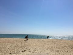 -海云台海滩