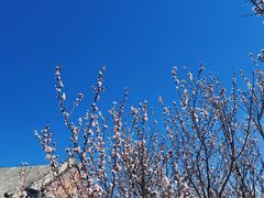 -香山公园