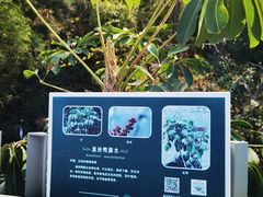 -福道