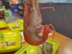 -养牛邓·潮汕牛肉海鲜自助火锅(广州店)