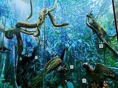 -国家自然博物馆