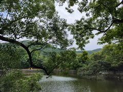 -阿育王寺