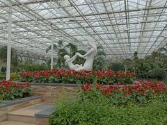 -上海鲜花港