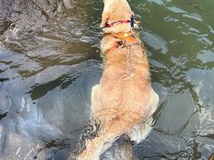 -安吉龙王山峡谷漂流