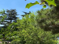 -国家植物园南园