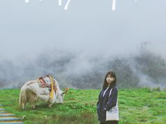 -硗碛藏寨·神木垒景区