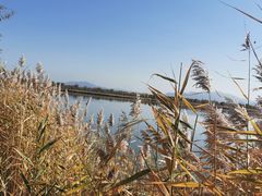 -野鸭湖国家湿地公园