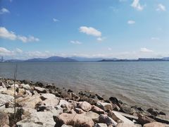 -深圳湾公园(南山区)