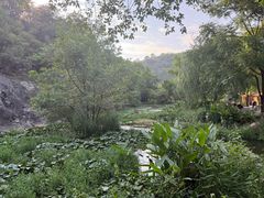 -武汉姚家山旅游景区