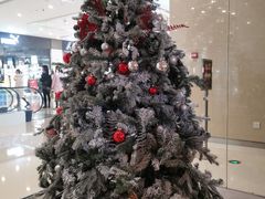 -科学家咖啡(海岸城店)
