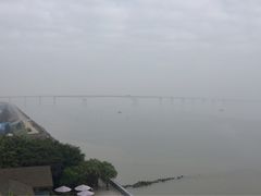 -大湾区中央湿地公园