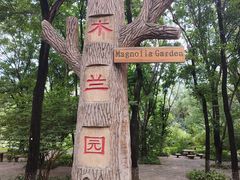 -沈阳植物园
