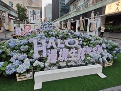 -HALO广场(梨园路店)