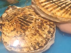 -海铺·渔家虾水饺(皇姑店)