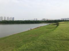 -盘龙城国家考古遗址公园