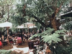 -Fern Forest Cafe