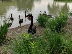 -西山漾湿地公园