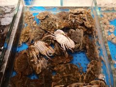 -加餐海鲜自助(集美银泰百货店)