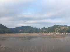 -北岐滩涂