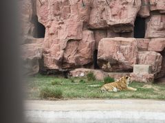 -鄂尔多斯野生动物园