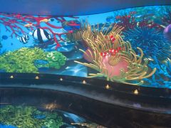 -唐宫足道·SPA·住宿24H会所(木渎店)
