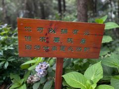 -寂照庵