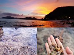 -日落吧·海景咖啡厅·餐酒吧·鸡尾酒·下午茶·乐队表演·浪漫夕阳·三亚文华东方酒店