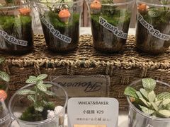 -WHEAT&BAKER-麥(凯德来福士店)