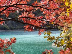 -叠溪松坪沟景区