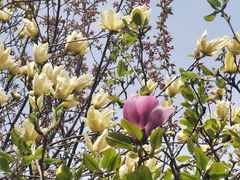 -江南大学(蠡湖校区)