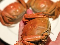 -广州万富希尔顿酒店-感趣自助餐厅·生蚝海鲜刺身