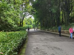 -上坐过桥米线(顺城店)
