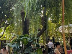 -Fern Forest Cafe