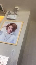 -YESIDO椰岛造型