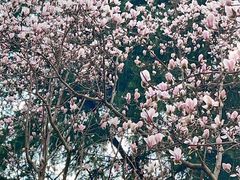 -白塘生态植物园