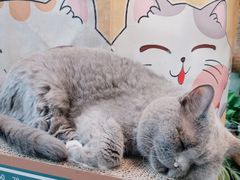 -小时光咖啡馆(北锣鼓巷店)