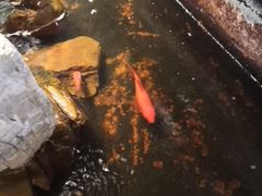 -映像威海·威海宴(威高广场店)