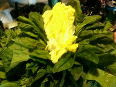 android_upload_pic-湘芙蓉·湖南菜(椒江店)