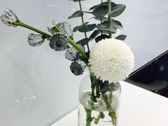 -Seesaw Coffee(上海国金中心店)