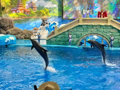 -海合安成都极地海洋公园