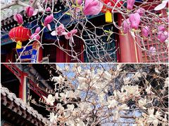-潭柘寺景区