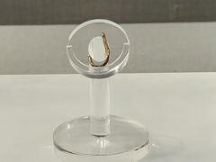 -浙江西湖美术馆