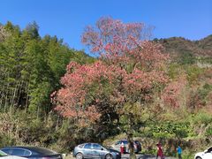 -塔川景区